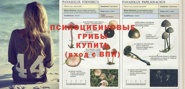 прущая мука Алзамай