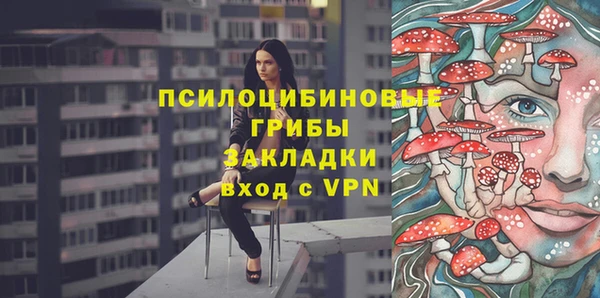 прущая мука Алзамай