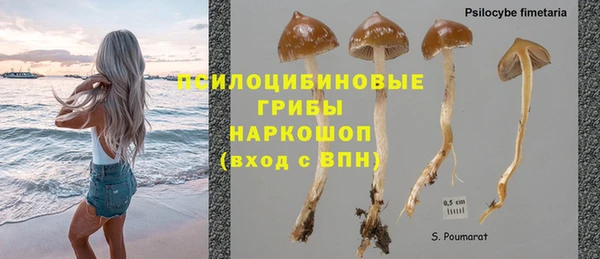 прущая мука Алзамай